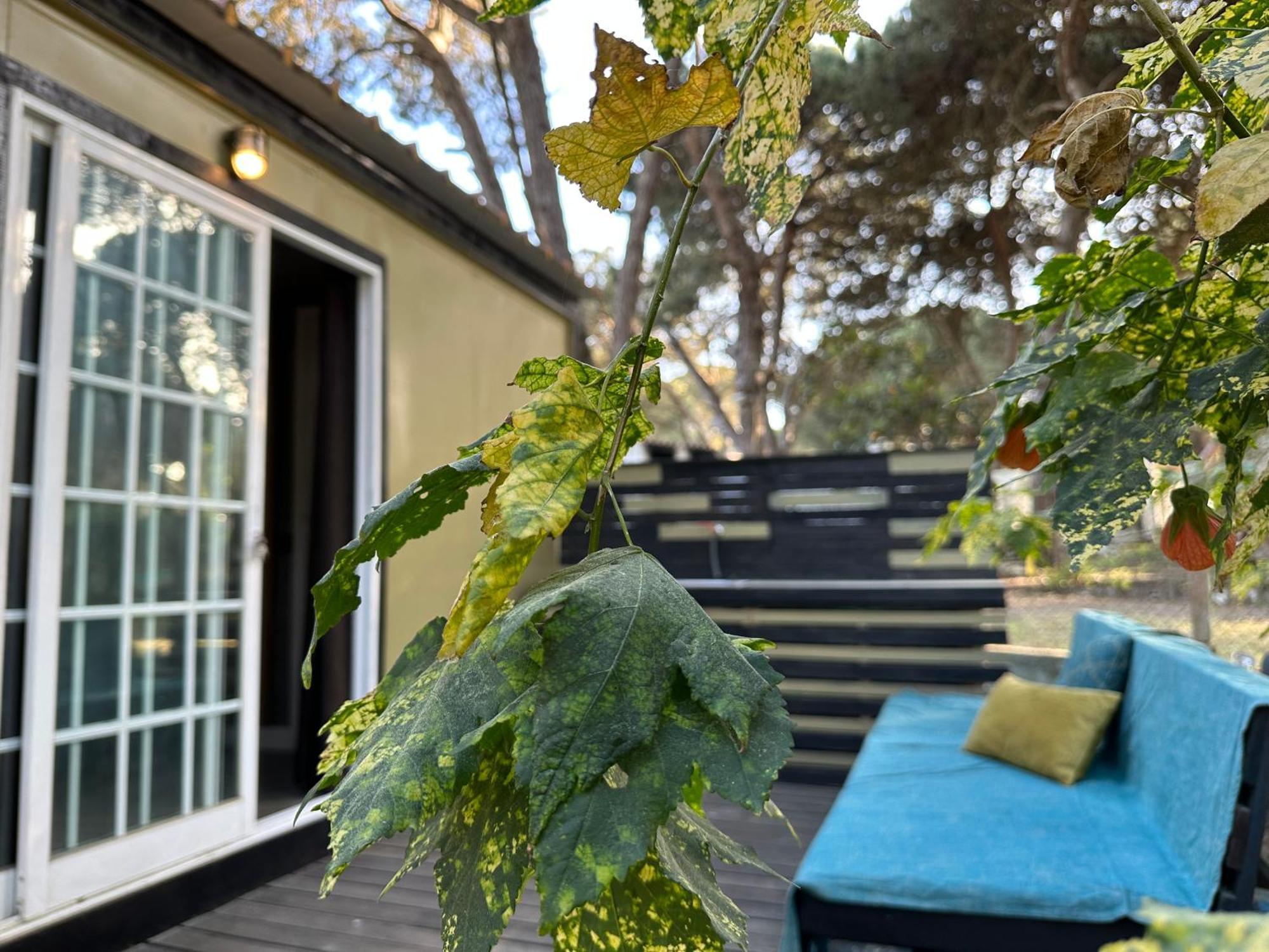 Eco-Friendly Beach House Сесимбра Екстериор снимка