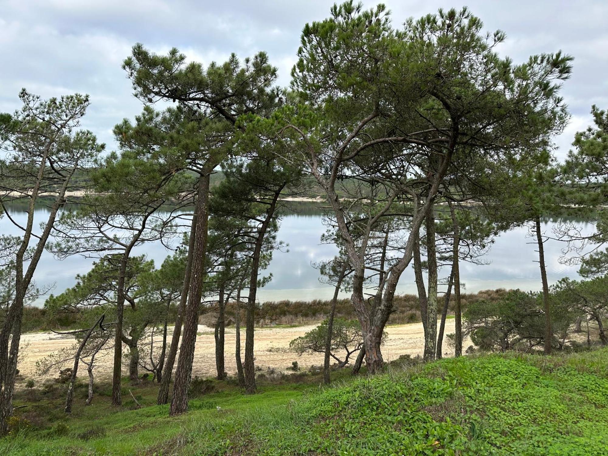 Eco-Friendly Beach House Сесимбра Екстериор снимка